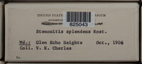 Image Associated With the Occurence